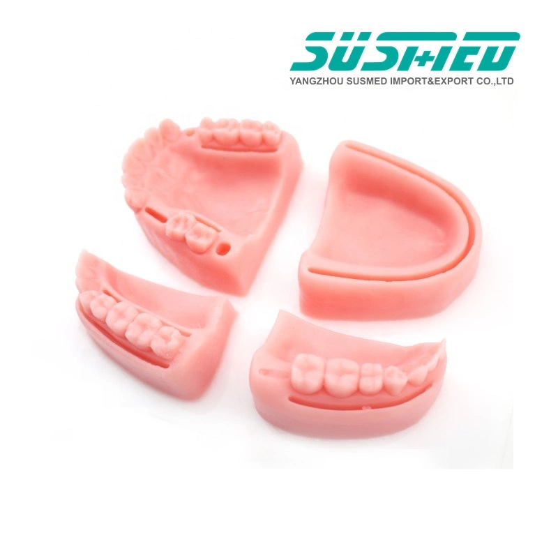 Dental Teeth Model Surgical Suture Practice Pad Suture Pad